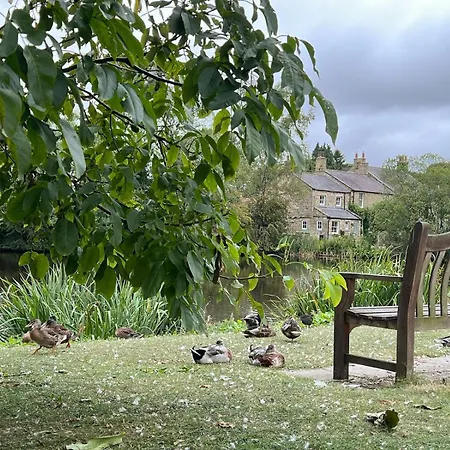 Orchard بيت ضيافة