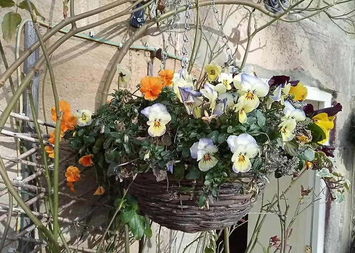 Bed & Breakfast Orchard